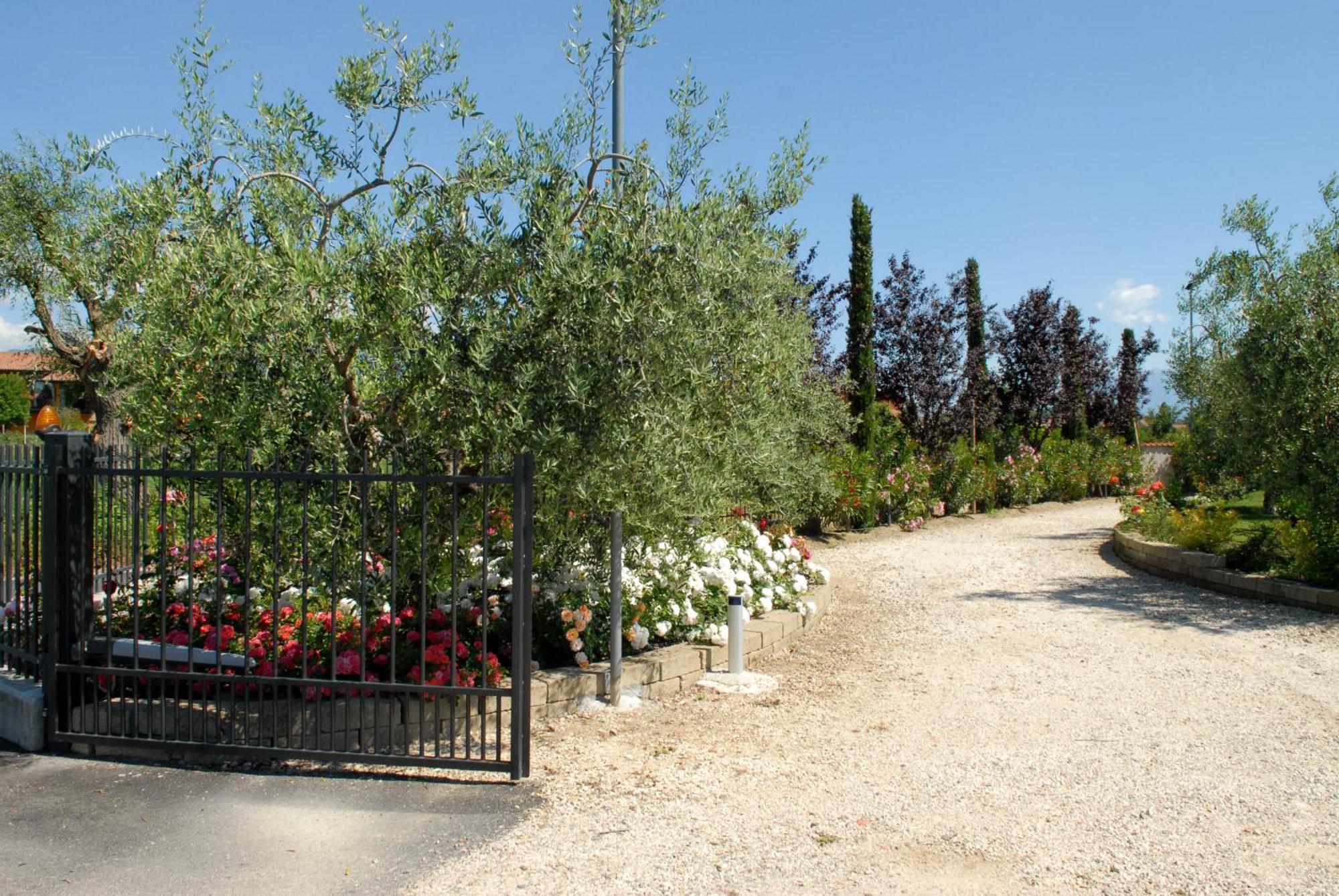 מנרבה דל גארדה Locanda Da Vittorio מראה חיצוני תמונה